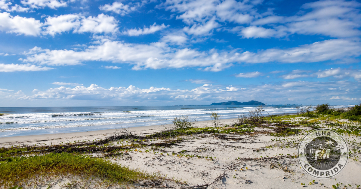 Paisagem da praia de Ilha Comprida com céu azul e vegetação preservada.