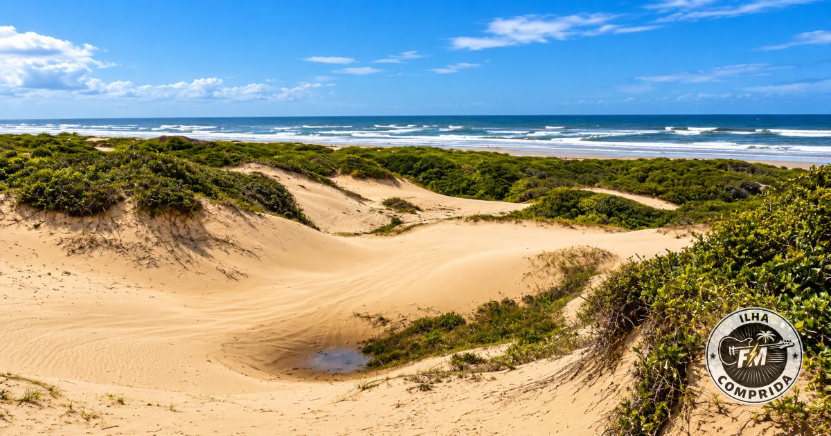 Caminho entre dunas e vegetação de restinga